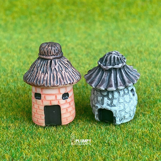 Rustic House
