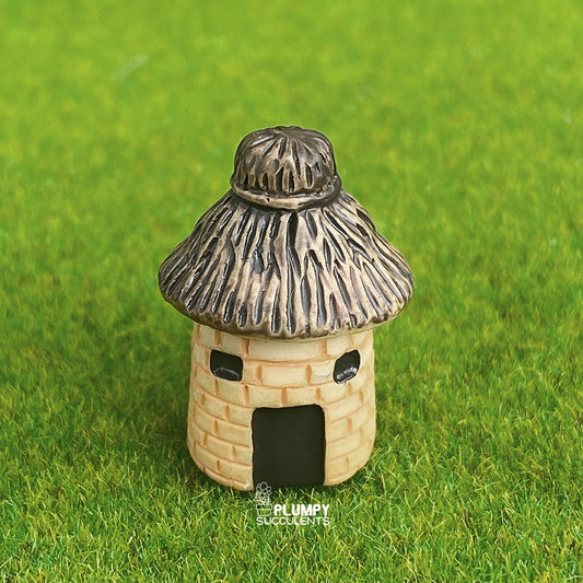 Rustic House