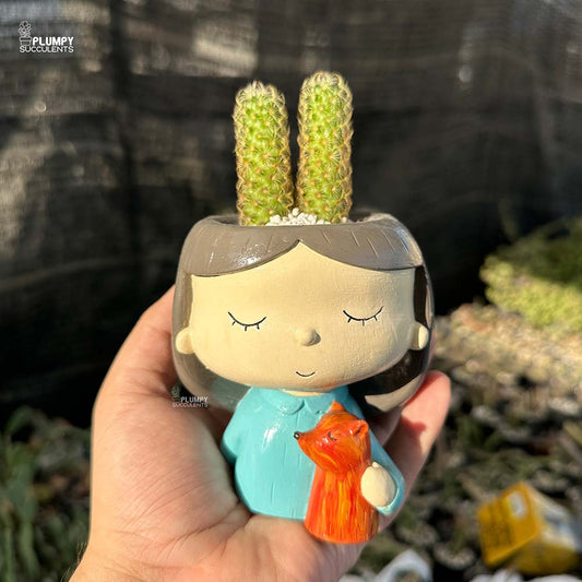 Mammillaria Elongata in Girl with Pet Fox Planter