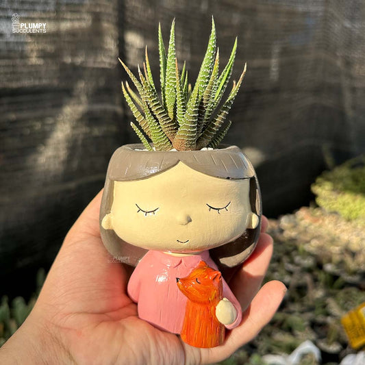 Haworthia Zebra in Girl with Pet Fox Planter