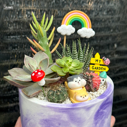Succulent Garden (Rainbow Land)