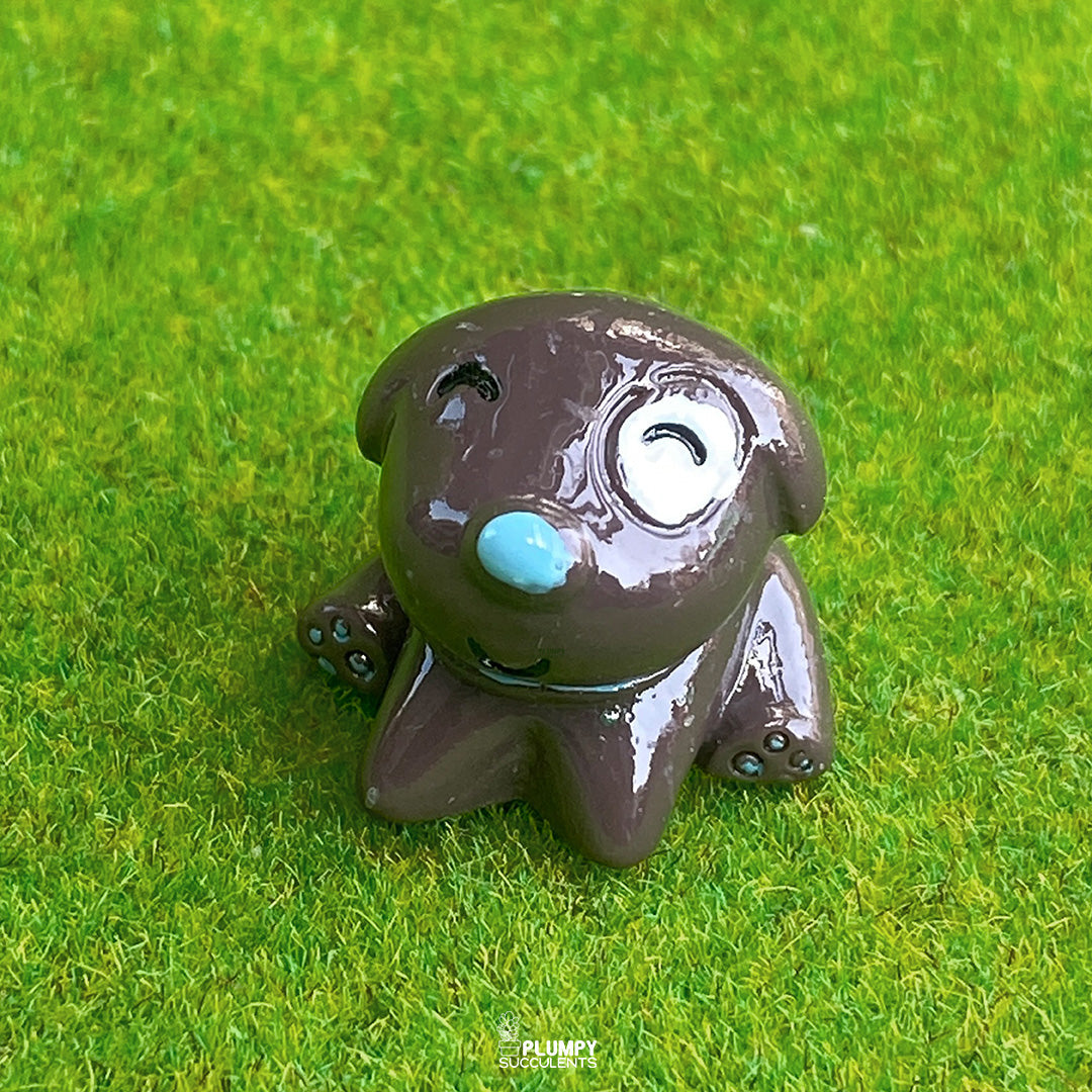 Small Dog