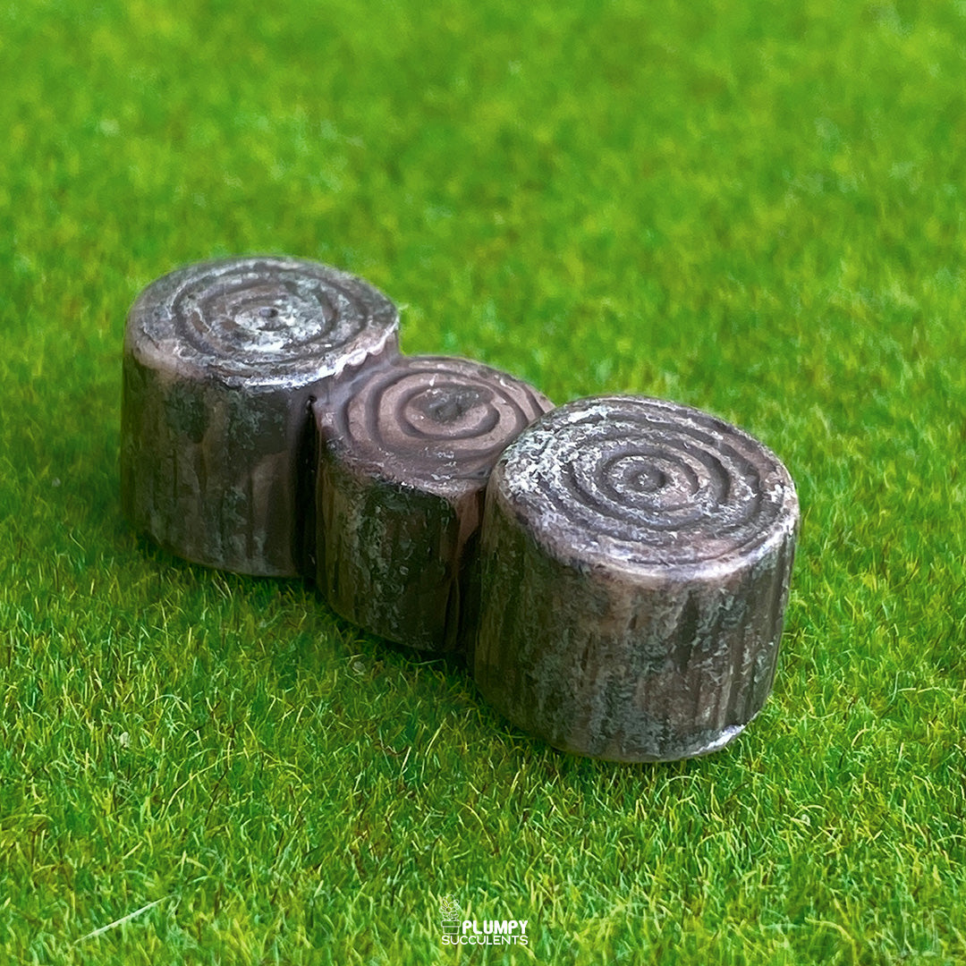 Tree Stump
