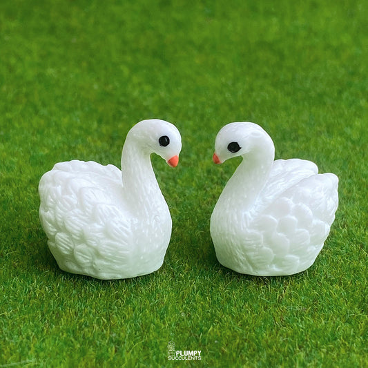 White Swan