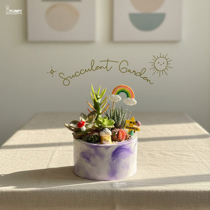 Succulent Garden (Rainbow Land)