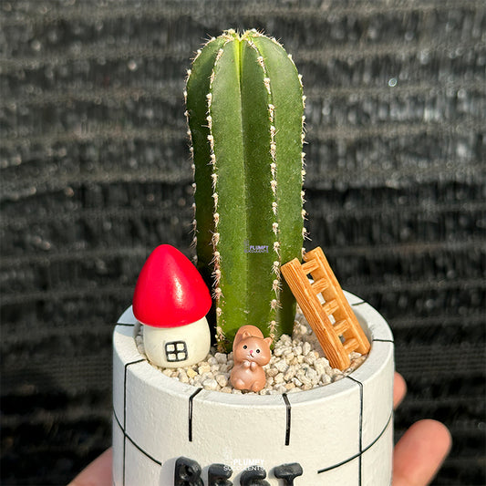 3" Best Dad Planter (Fence Post Cactus Landscape)