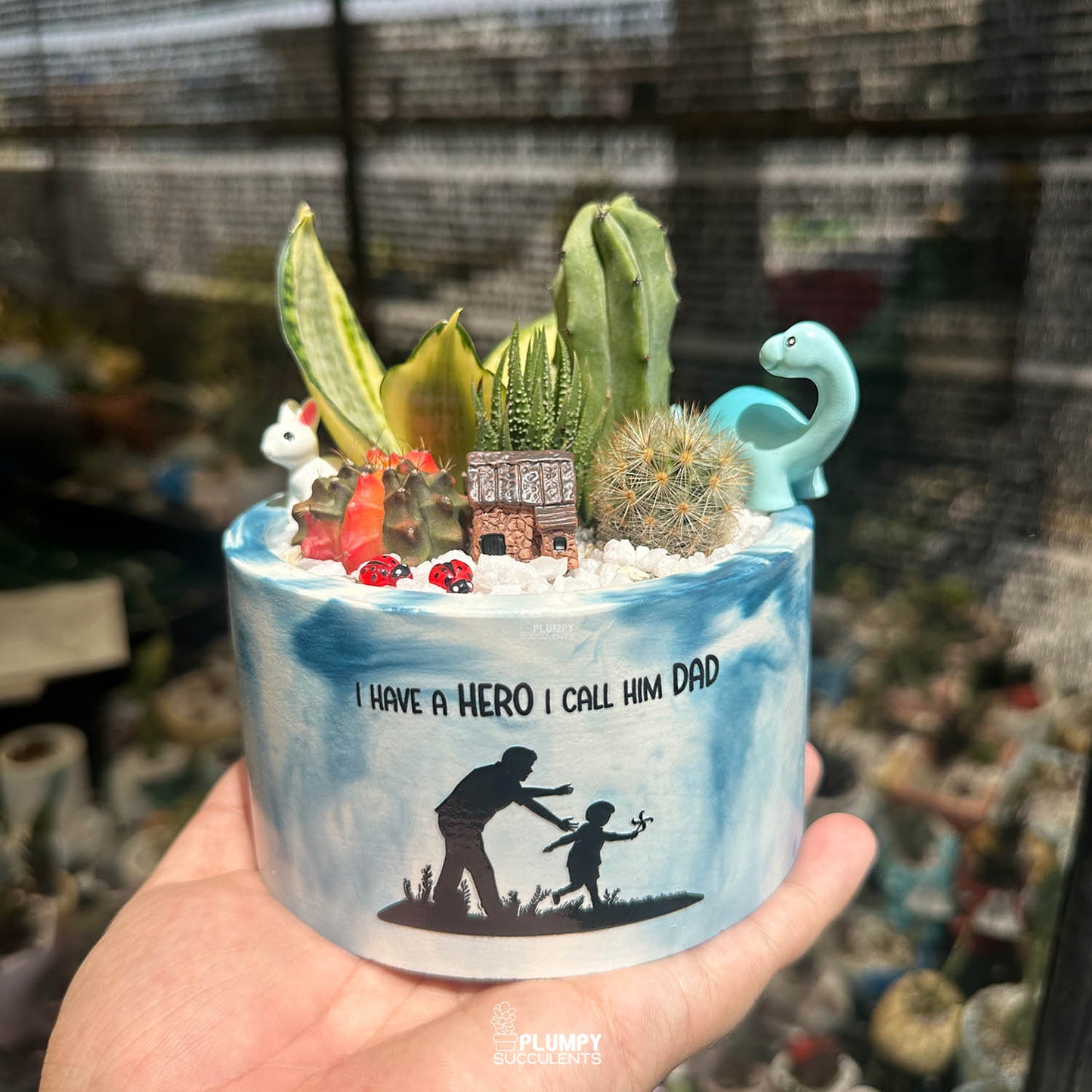 The Hero Garden | Premium Father's Day Succulent Arrangement