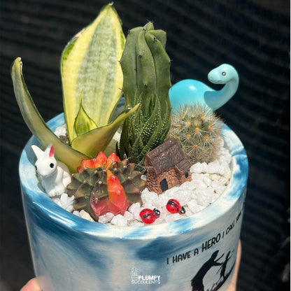 The Hero Garden | Premium Father's Day Succulent Arrangement