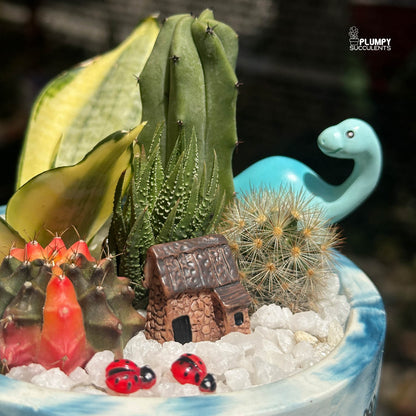 The Hero Garden | Premium Father's Day Succulent Arrangement