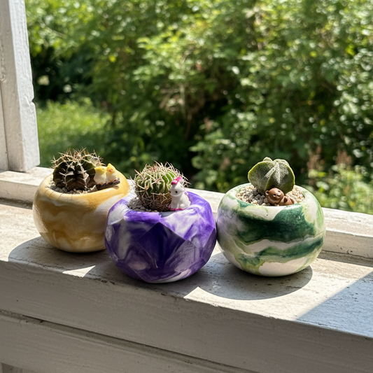 Set of 3 Outdoor Plants