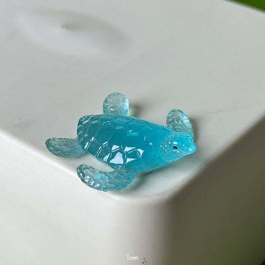 Tortoise