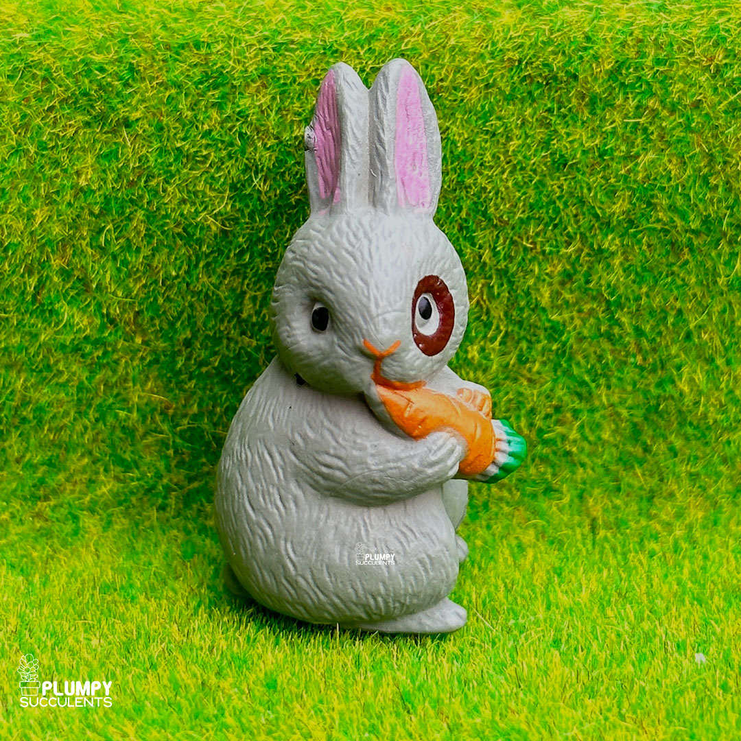 Big Rabbit