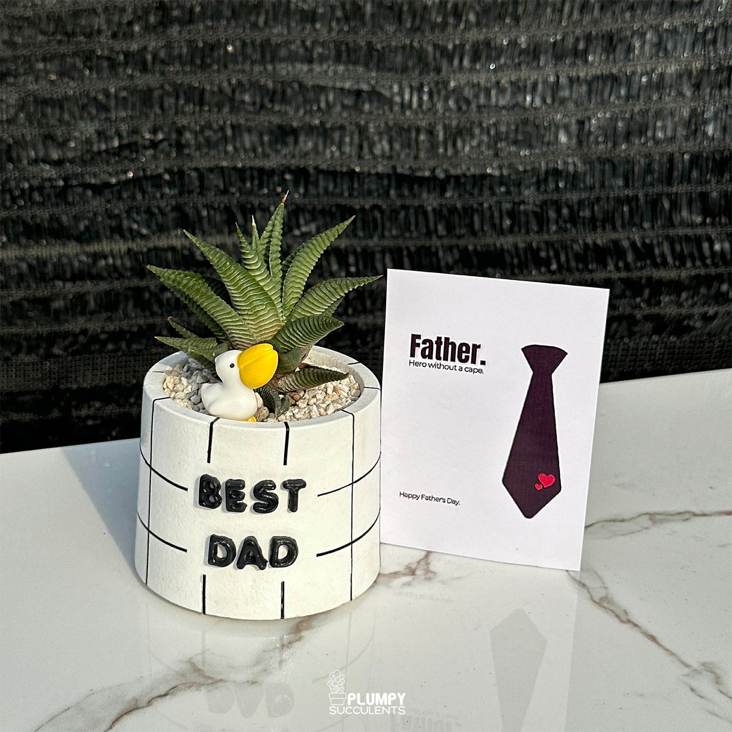 3" Best Dad Planter (Haworthia Limifolia + Pelican)