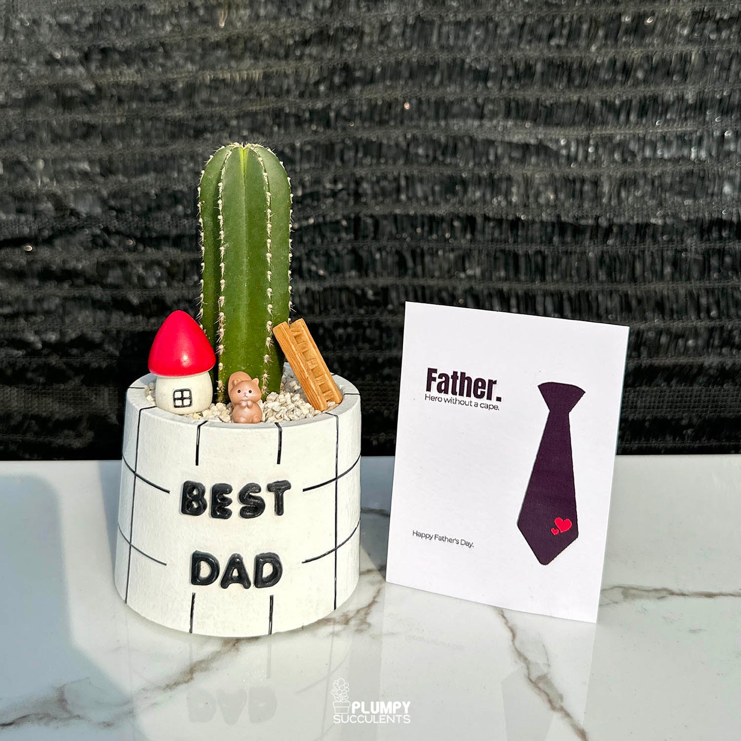 Set of Two – Best Dad Collection (3" Round Pot)