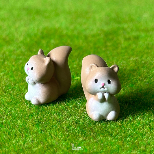Squirrel