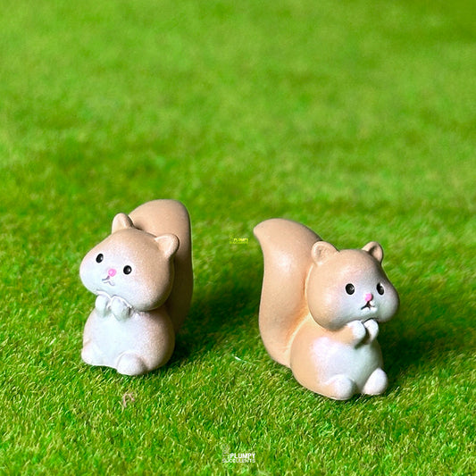 Squirrel