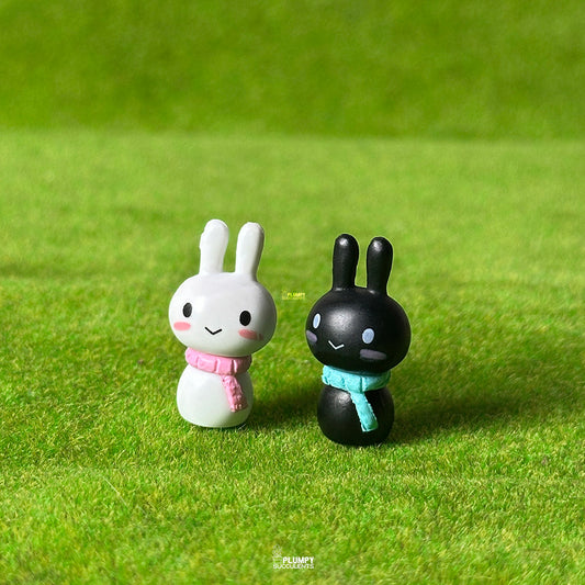Rabbit Anime Couple