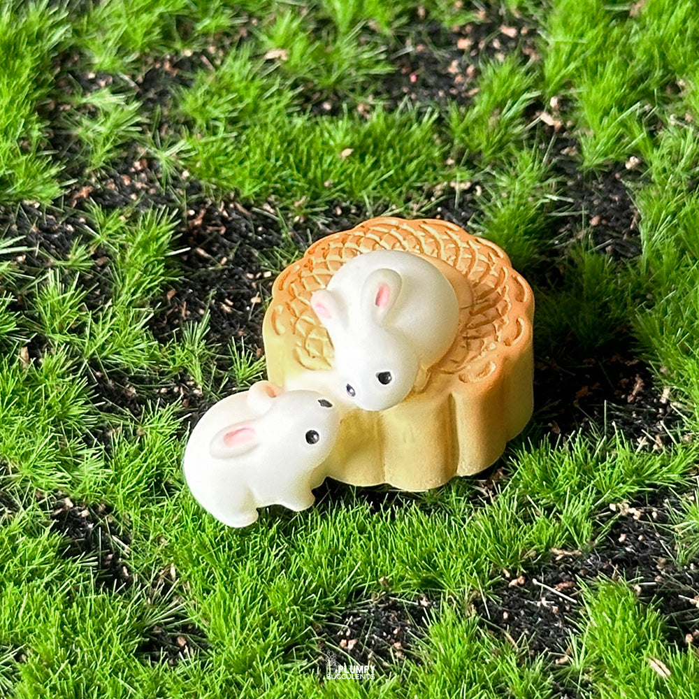 Rabbit Set