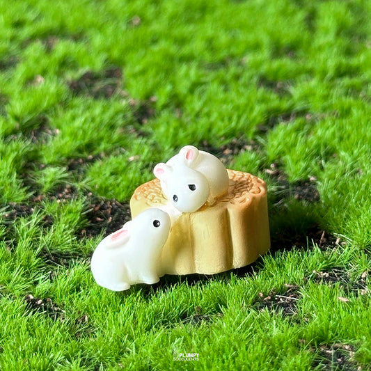 Rabbit Set