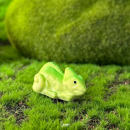 chameleon