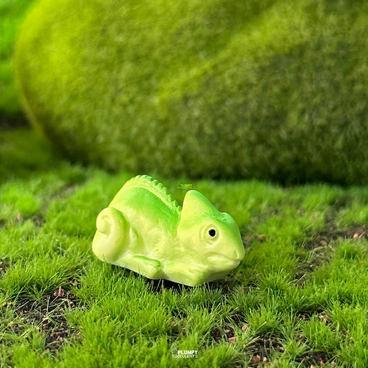 chameleon