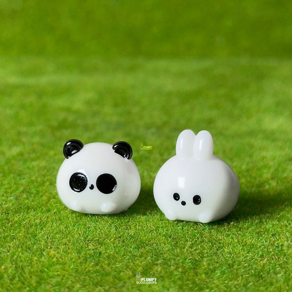 Panda Rabbit Buns Couple – Plumpy Succulents