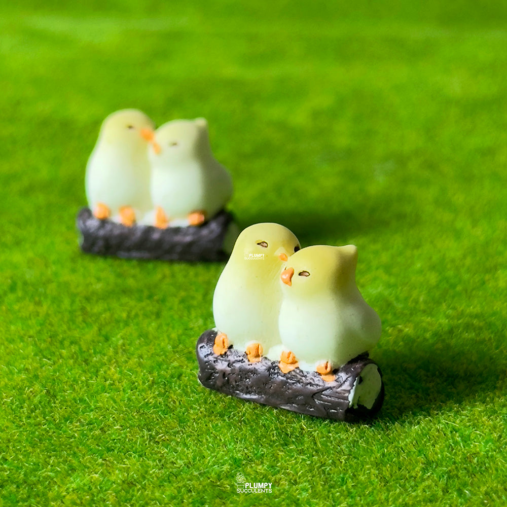 Bird Couple