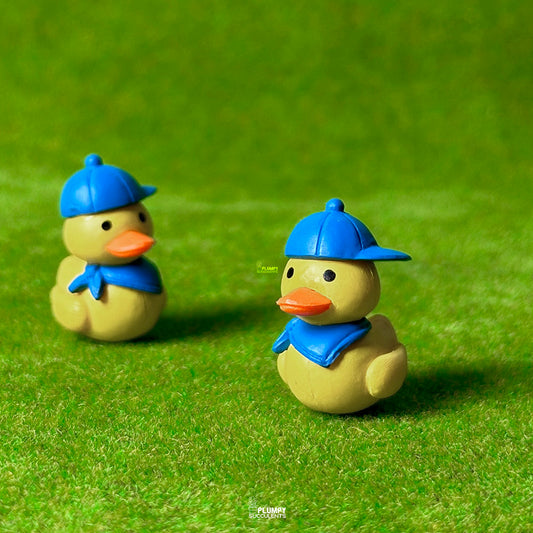 Duck Scout