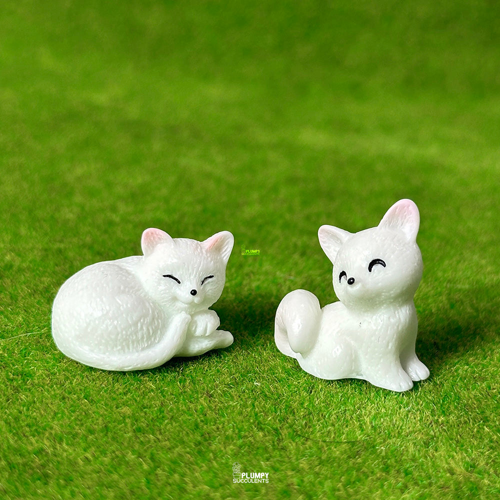 White Cat