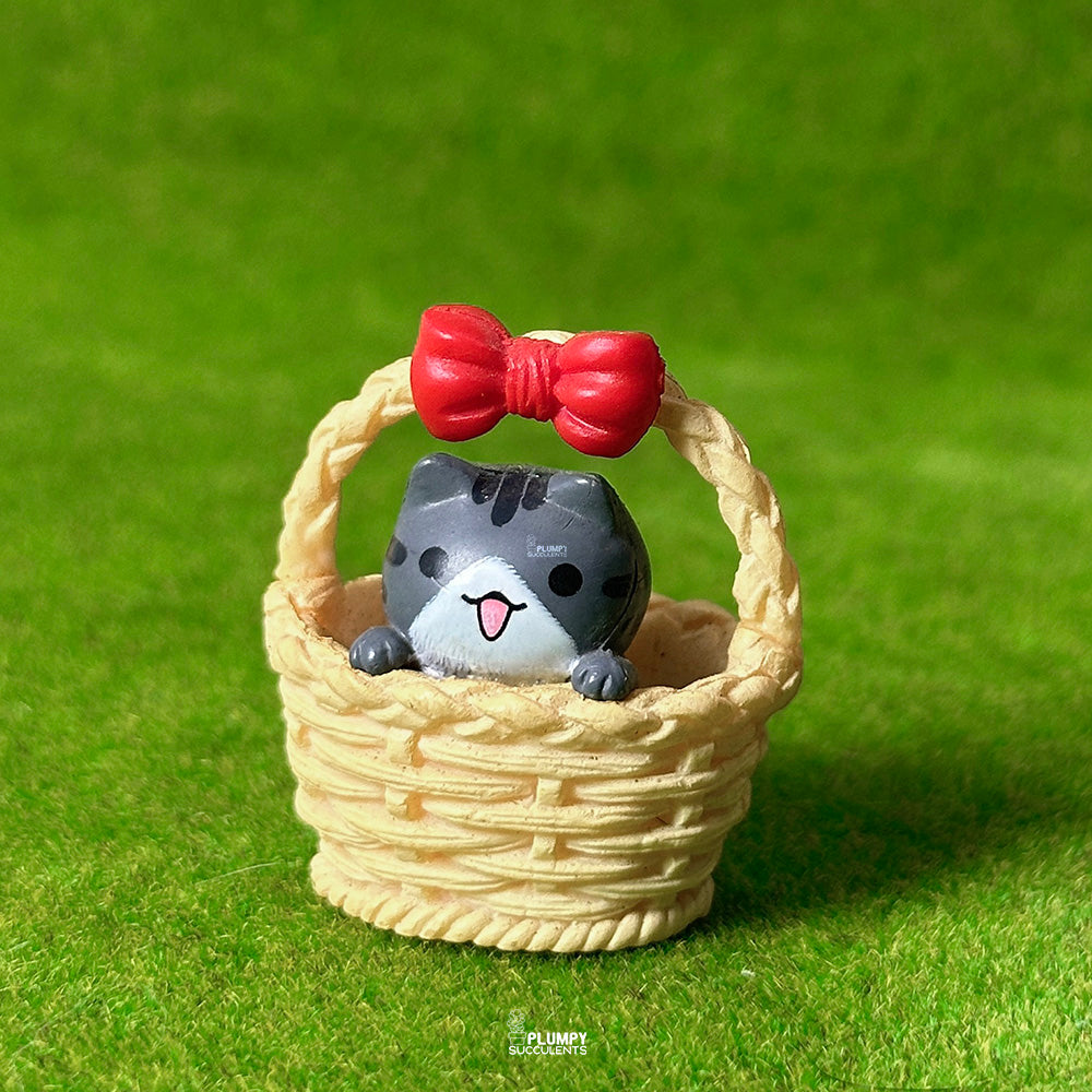 Kitten in a basket