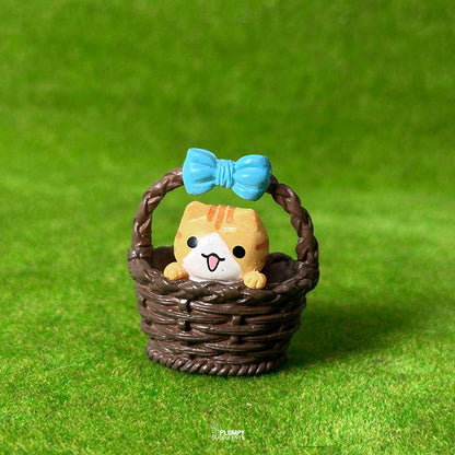 Kitten in a basket