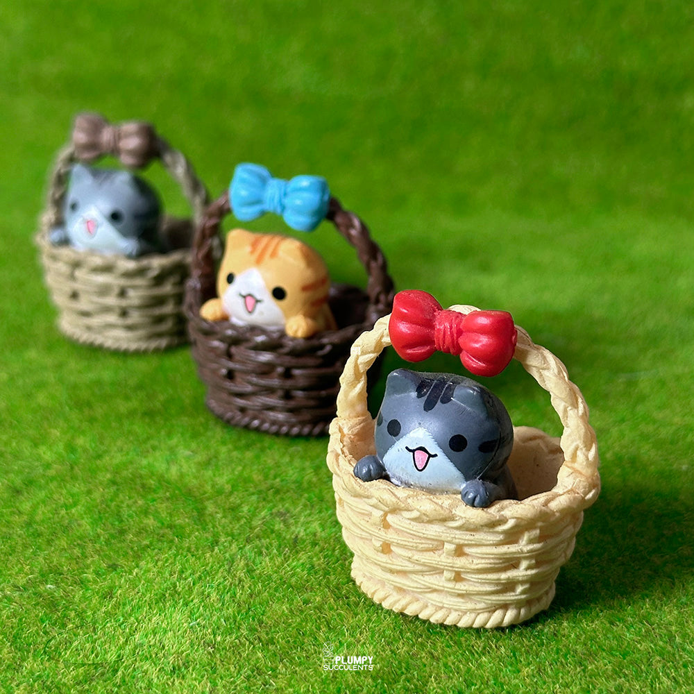 Kitten in a basket