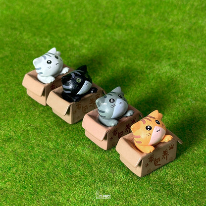 Kitten (Chinese Takeout Box)