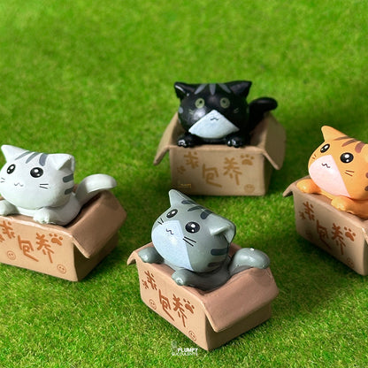 Kitten (Chinese Takeout Box)