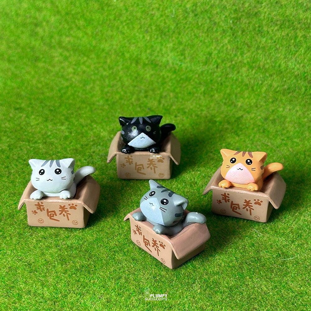 Kitten (Chinese Takeout Box)