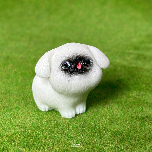 Pug Dog (Sparkling Eyes)