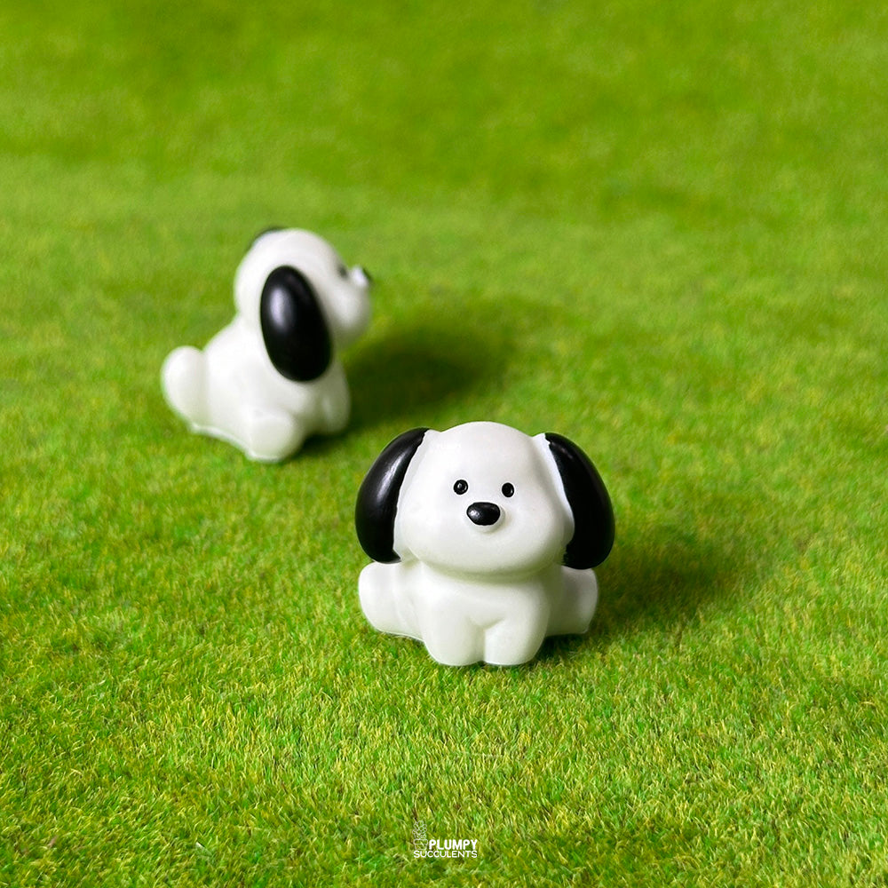 Pochacco Dog