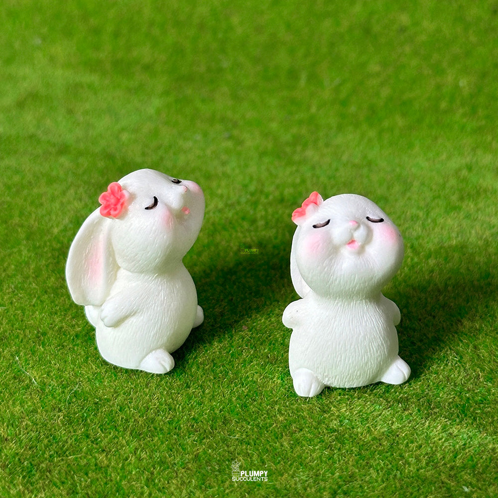 Rabbit (Flower)