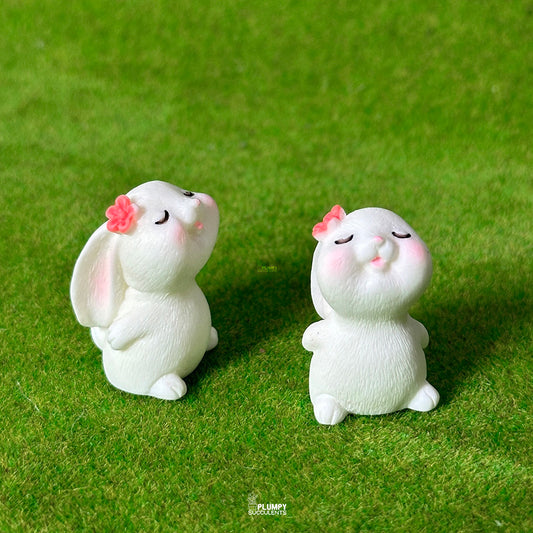 Rabbit (Flower)