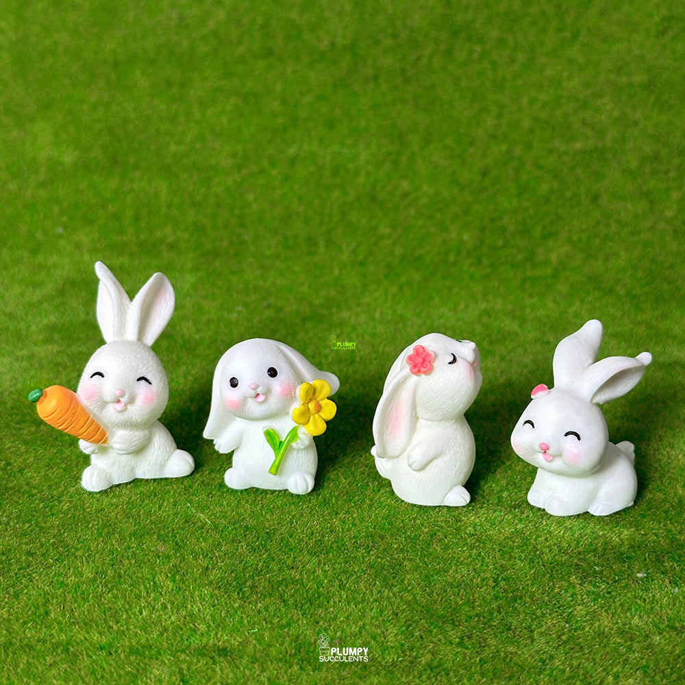 Rabbit Set – Plumpy Succulents