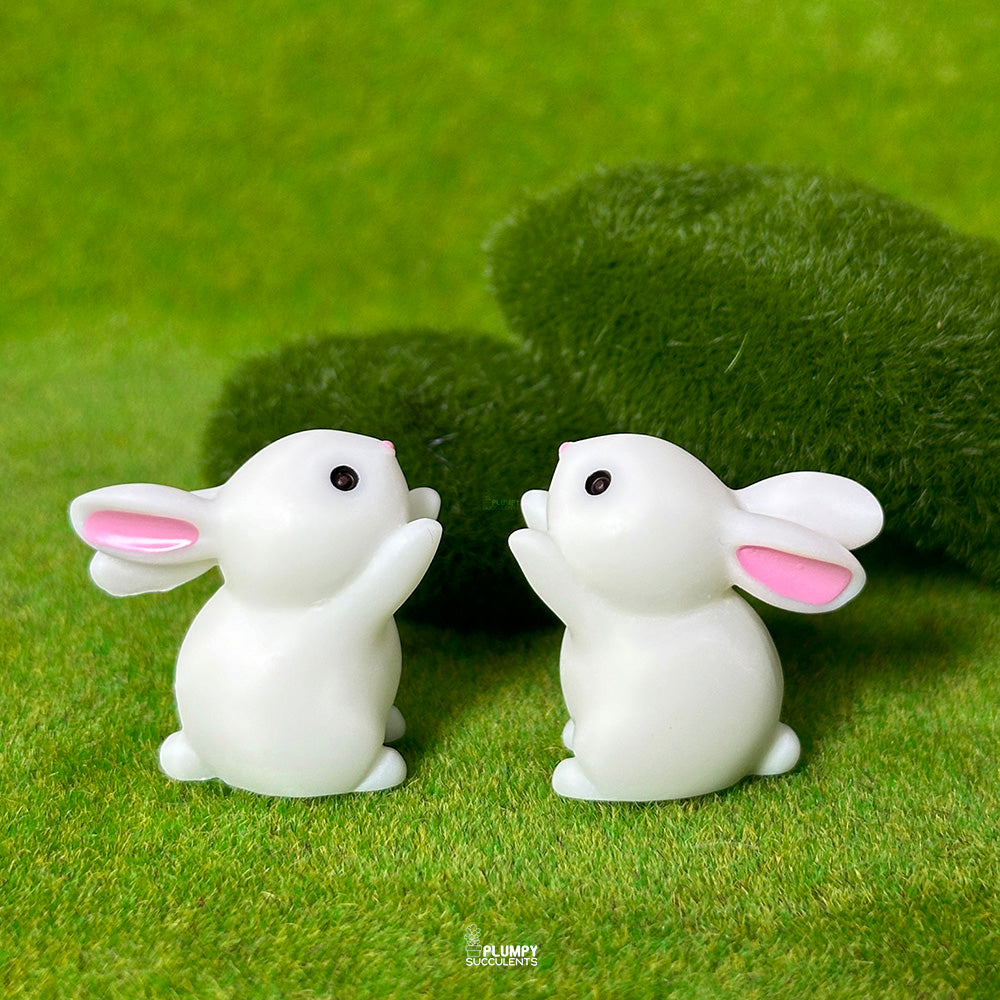 Rabbit – Plumpy Succulents