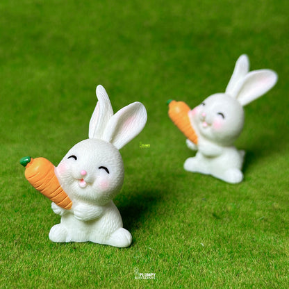Rabbit (Carrot)