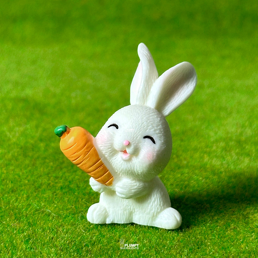 Rabbit (Carrot)