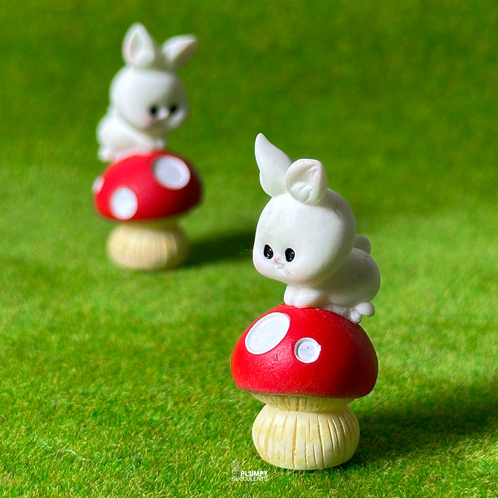 Mushroom Rabbit – Plumpy Succulents