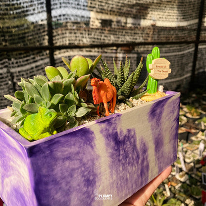 Desert Fairy Garden — Limited Edition