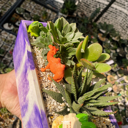 Desert Fairy Garden — Limited Edition