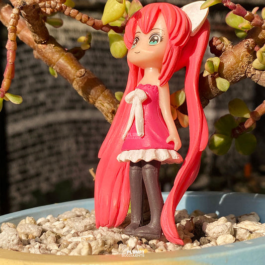Mini Bonsai Fairy Garden — Limited Edition