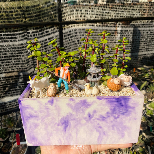 Farmstead Fairy Garden — Limited Edition