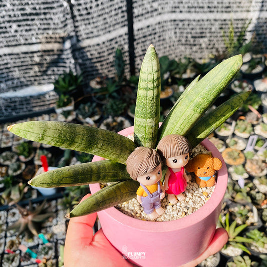 Together Forever Fairy Garden — Limited Edition