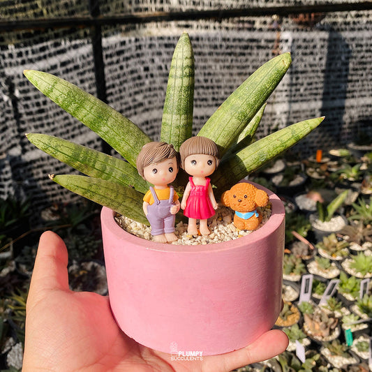 Together Forever Fairy Garden — Limited Edition